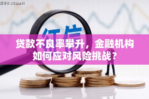 芒市贷款不良率攀升，金融机构如何应对风险挑战？