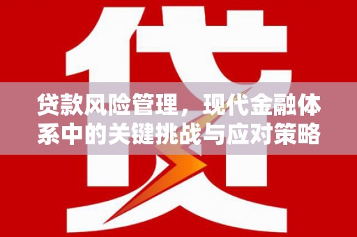 芒市贷款风险管理，现代金融体系中的关键挑战与应对策略