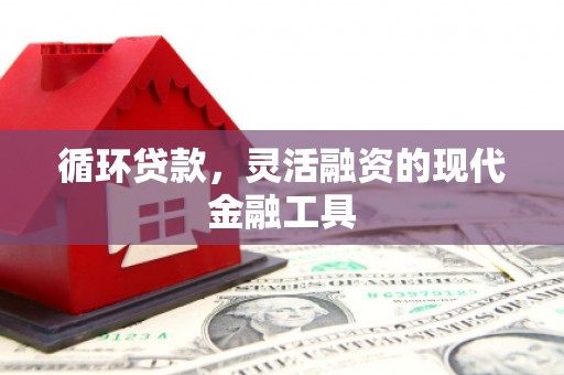 芒市循环贷款，灵活融资的现代金融工具