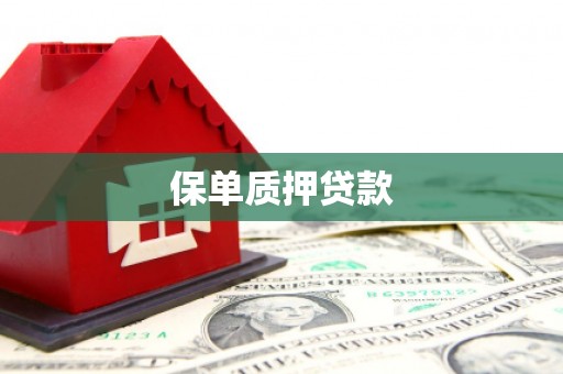 芒市保单质押贷款