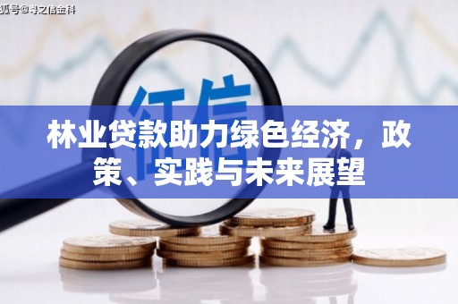芒市林业贷款助力绿色经济，政策、实践与未来展望