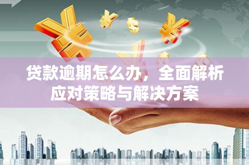 芒市贷款逾期怎么办，全面解析应对策略与解决方案