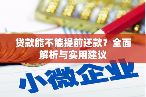 芒市贷款能不能提前还款？全面解析与实用建议