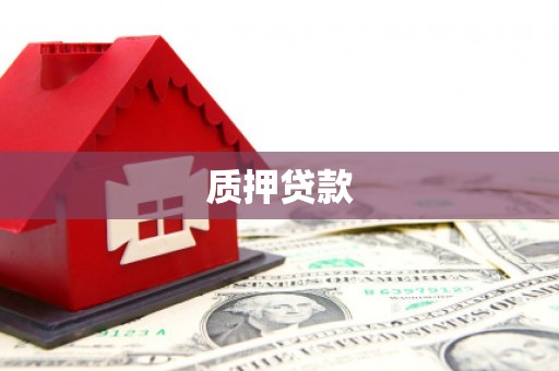 芒市质押贷款