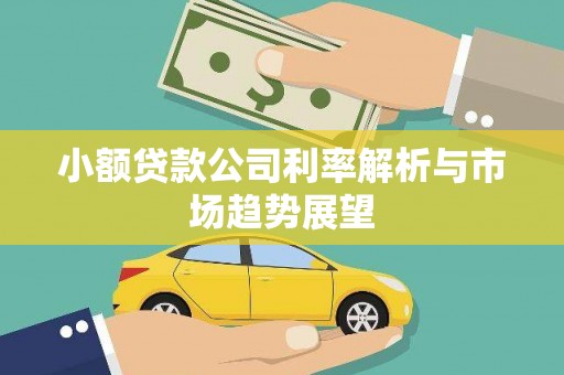芒市小额贷款公司利率解析与市场趋势展望