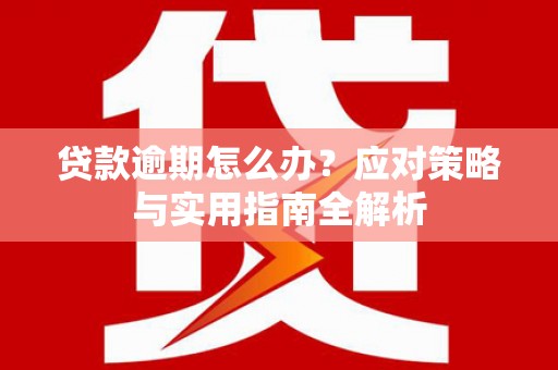 芒市贷款逾期怎么办？应对策略与实用指南全解析