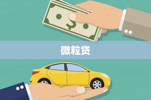 芒市微粒贷