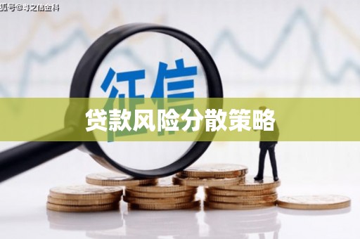 芒市贷款风险分散策略