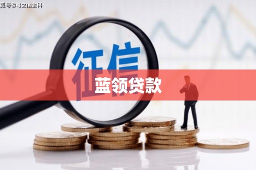芒市蓝领贷款