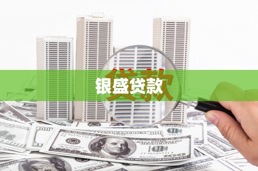 芒市银盛贷款