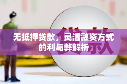 芒市无抵押贷款，灵活融资方式的利与弊解析