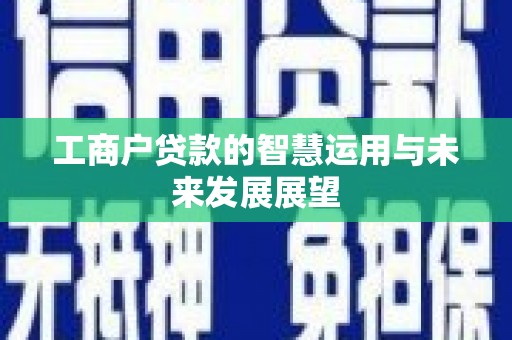 芒市工商户贷款的智慧运用与未来发展展望