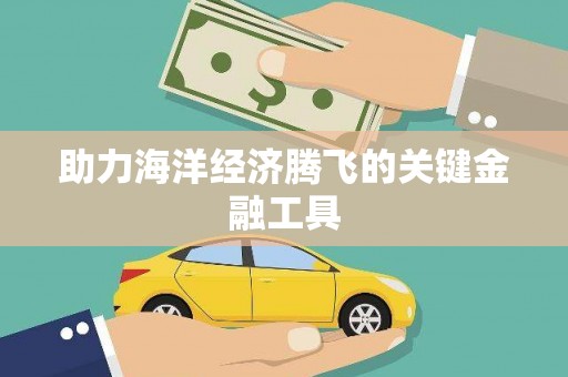 芒市助力海洋经济腾飞的关键金融工具