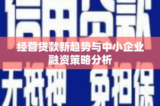 芒市经营贷款新趋势与中小企业融资策略分析
