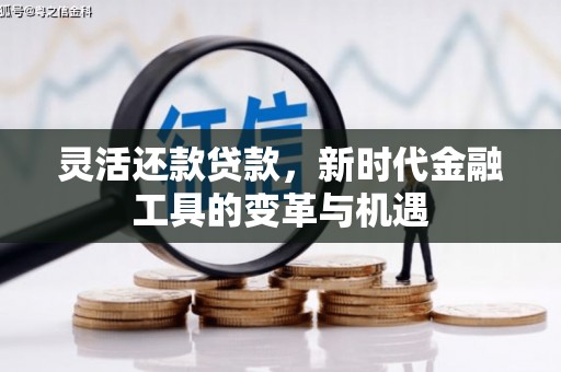 芒市灵活还款贷款，新时代金融工具的变革与机遇