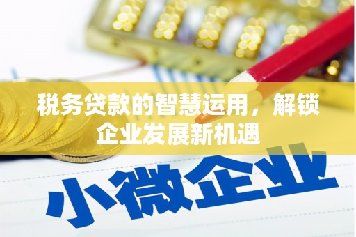 芒市税务贷款的智慧运用，解锁企业发展新机遇