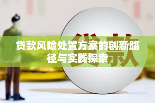 芒市贷款风险处置方案的创新路径与实践探索
