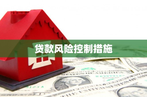芒市贷款风险控制措施