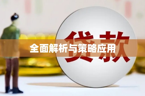 芒市全面解析与策略应用