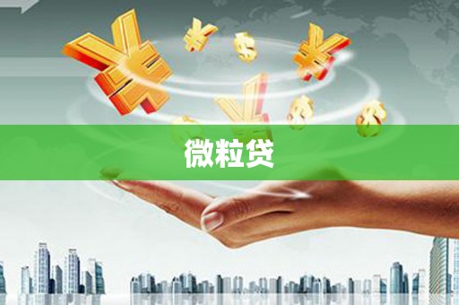 芒市微粒贷
