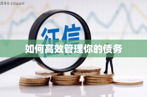 芒市如何高效管理你的债务