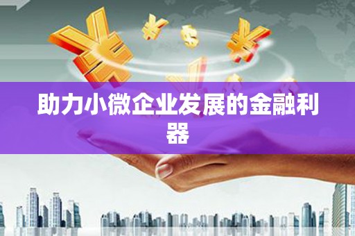 芒市助力小微企业发展的金融利器