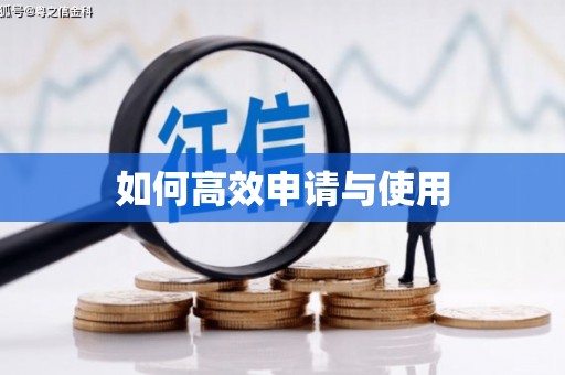芒市如何高效申请与使用