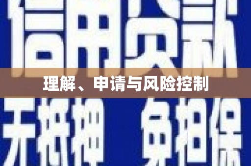 芒市理解、申请与风险控制