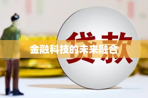 芒市金融科技的未来融合