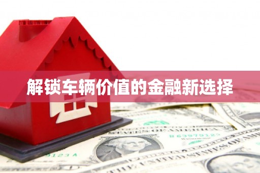 芒市解锁车辆价值的金融新选择
