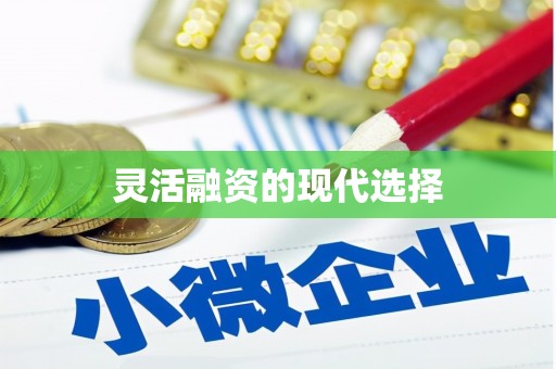 芒市灵活融资的现代选择
