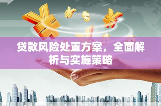 芒市贷款风险处置方案，全面解析与实施策略