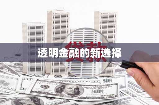 芒市透明金融的新选择