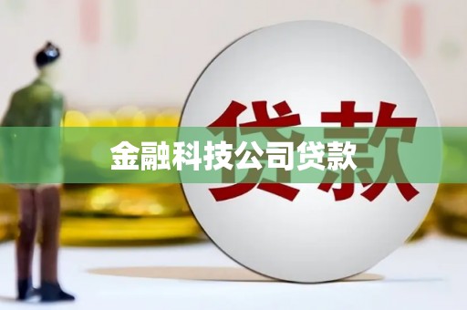 芒市金融科技公司贷款