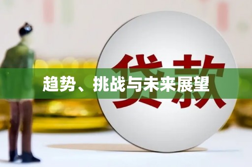 芒市趋势、挑战与未来展望