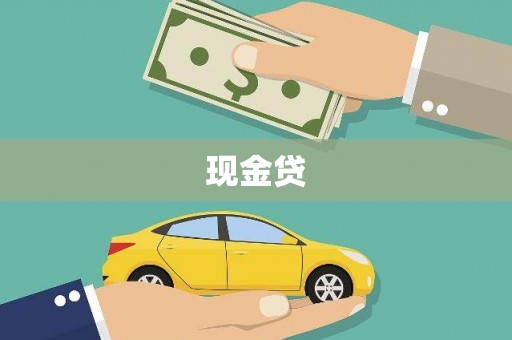 芒市现金贷