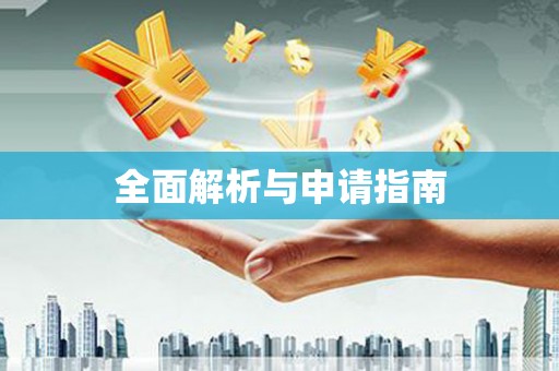 芒市全面解析与申请指南