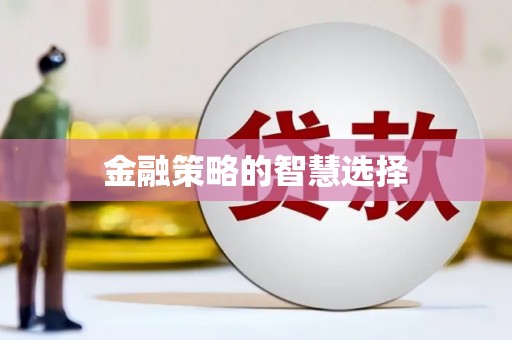 芒市金融策略的智慧选择