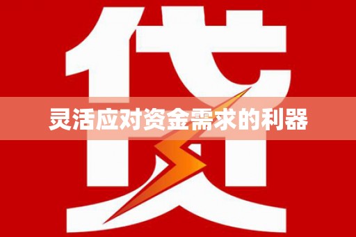 芒市灵活应对资金需求的利器