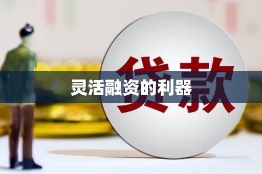 芒市灵活融资的利器