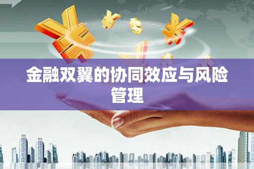 芒市金融双翼的协同效应与风险管理