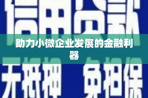 芒市助力小微企业发展的金融利器