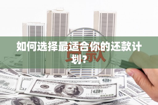 芒市如何选择最适合你的还款计划？