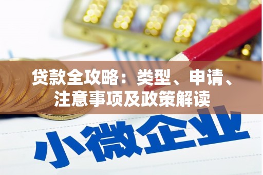 芒市贷款全攻略：类型、申请、注意事项及政策解读